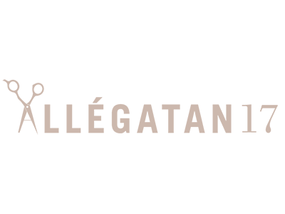 Allegatan 17 Logo
